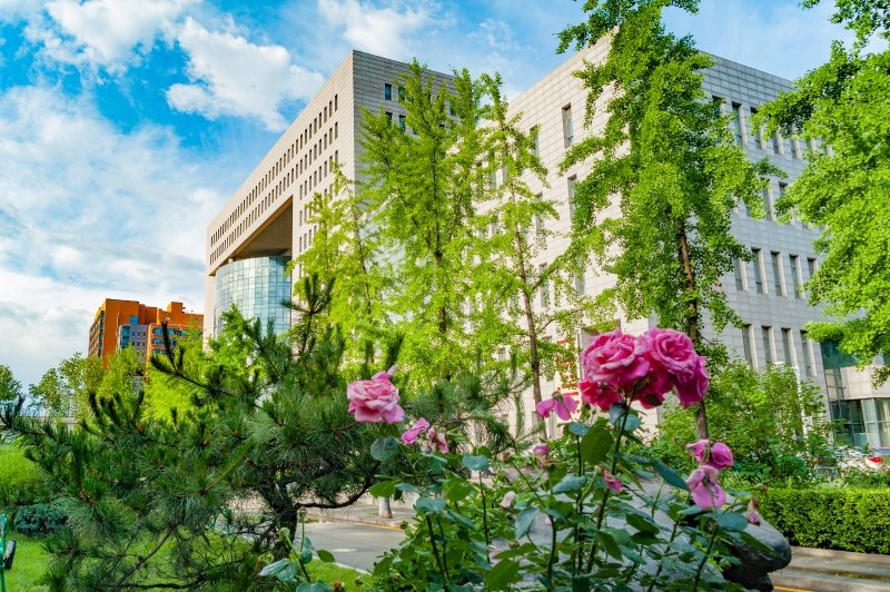 news@blcu.edu.cn